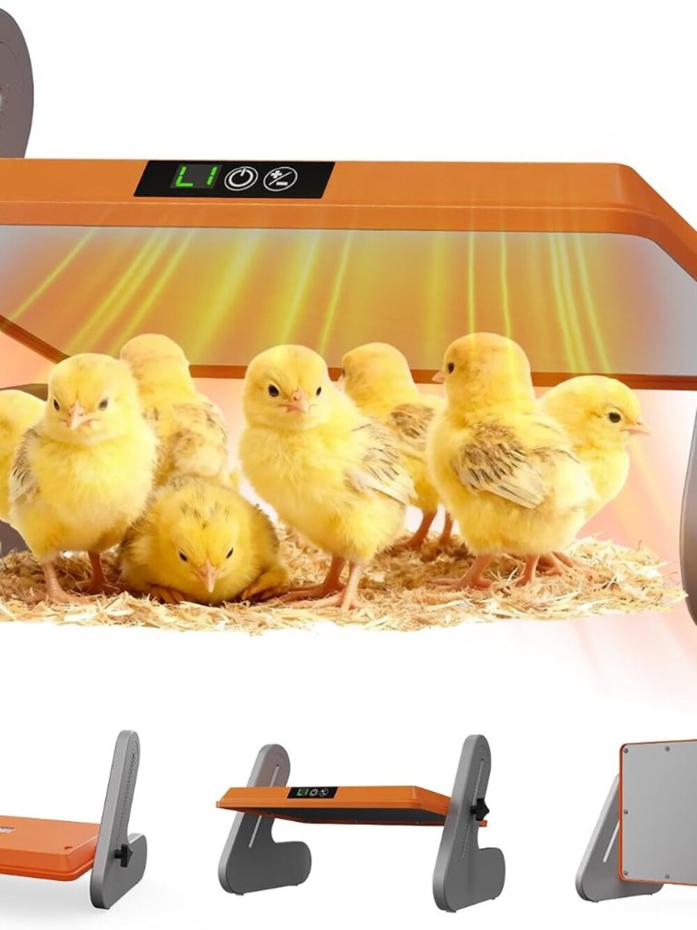 Brooder Heater - Picture 3 of 5